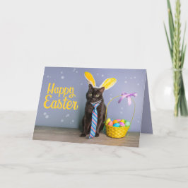 Cartão De Festividades Felz pascoa para qualquer gato bonito em lágrimas 