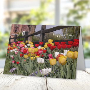 Cartão De Festividades Felz pascoa Tulip Garden