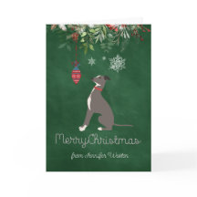 Feriado Curioso Greyhound Puppy com desejos alegre