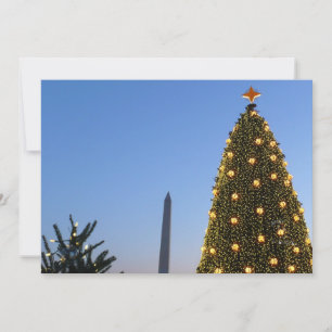 Cartão De Festividades Feriado das Árvores de Natal II em DC
