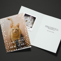 Feriado de Gato de Natal e Puro Ano Novo