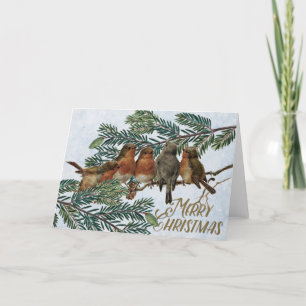 Cartão De Festividades Feriado de Natal europeu Robin Birds Evergreen