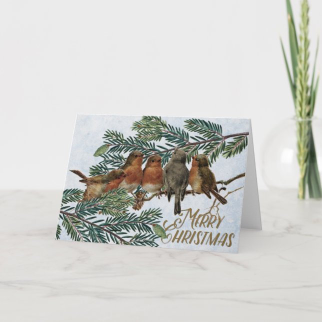 Cartão De Festividades Feriado de Natal europeu Robin Birds Evergreen (Frente)