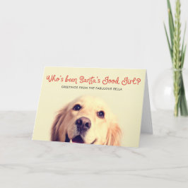 Cartão De Festividades Feriado Engraçado de Cachorro | Saudação de Foto