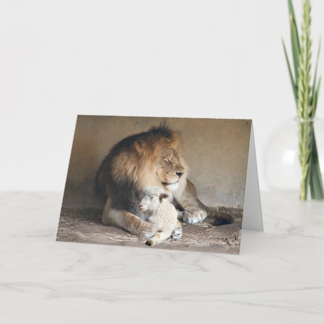 Cartão De Festividades Feriados pacíficos (Frente)