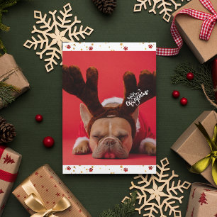 Cartão De Festividades Férias Bulldog Francês Cachorro Fofo Natal