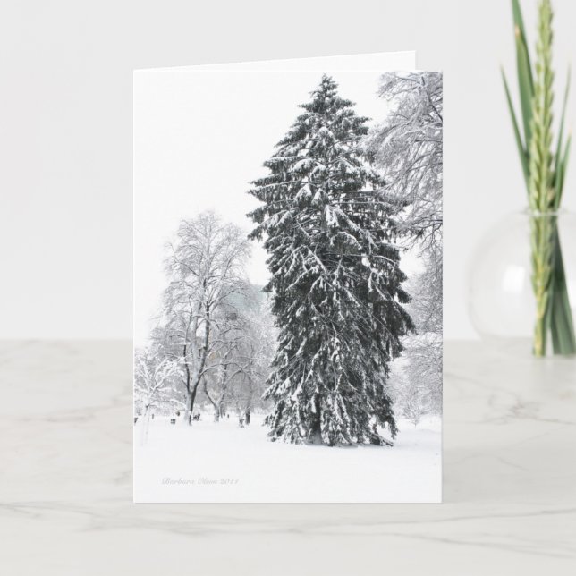 Cartão De Festividades Férias de Inverno no Parque Jardim Público de Bost (Frente)