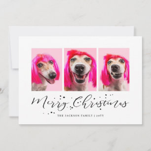 Cartão De Festividades Férias de Natal com 3 Fotos de Animais de Estimaçã