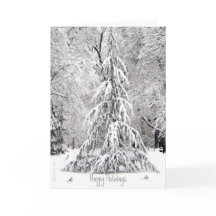 Férias Felizes: Desfrute dos Prazeres Simples-Bost