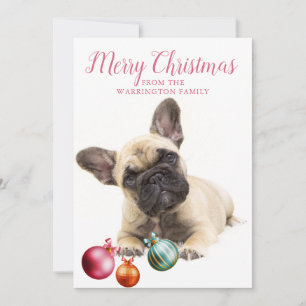 Cartão De Festividades Férias Personalizadas para Cães Bulldog Francês