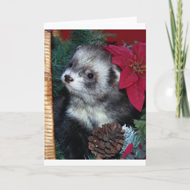Cartão De Festividades Ferret Christmas Card (Frente)
