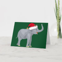 Festa de Natal de Elefante Bonito em Santa Fé