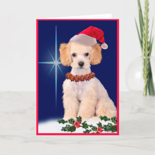 Cartão De Festividades Festive Poodle Holiday Greeting Card