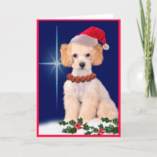Cartão De Festividades Festive Poodle Holiday Greeting Card