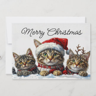 Cartão De Festividades Festive Whiskers in the Snow
