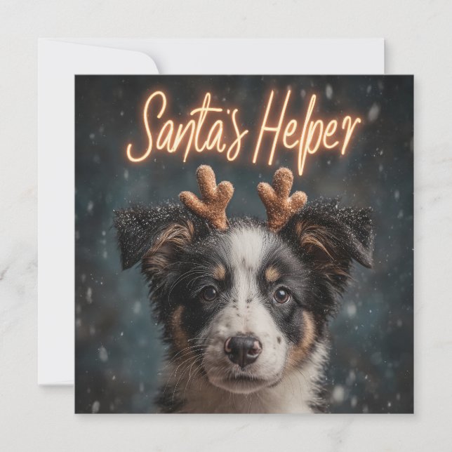 Cartão De Festividades Filhote Adorável de Border Collie como Assistente  (Frente)
