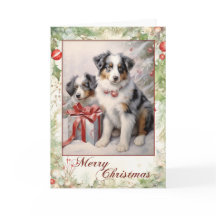 Filhote de Aussie Blue Merle Vitoriano de Natal
