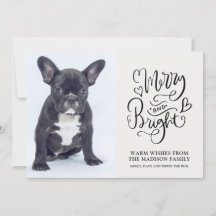 Filhote de Bulldog Francês Personalizado Alegre e