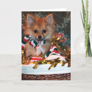 Cartão De Festividades Filhote de cachorro do Natal