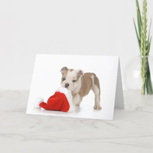 Cartão De Festividades Filhote de cachorro do Natal - filhote de cachorro