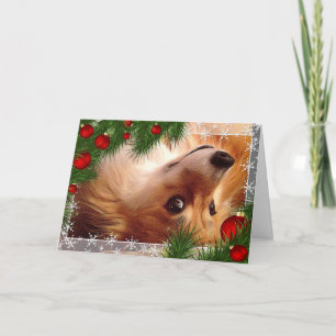 Cartão De Festividades Filhote de Corgi Galês de Natal com Bolhas Vermelh