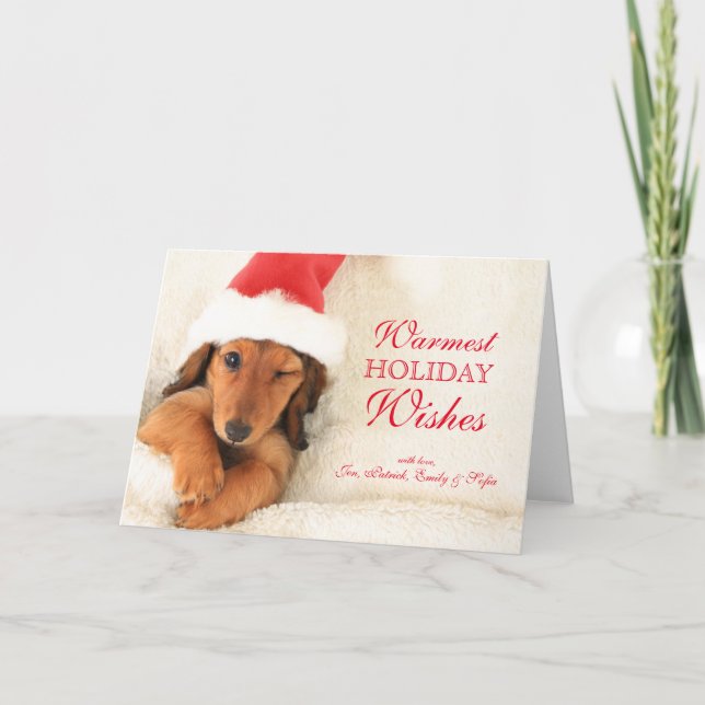 Cartão De Festividades Filhote de Dachshund de Pelo Longo Piscando (Frente)