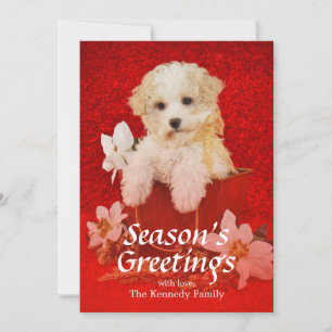 Cartão De Festividades Filhote de Natal doce sentado no cesto