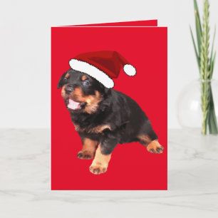 Cartão De Festividades Filhote de Rottweiler Fofo Vestindo Chapéu de Papa