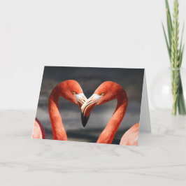 Cartão De Festividades Flamingo Valentines Day Card