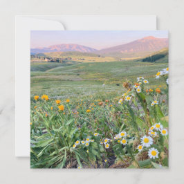 Cartão De Festividades Flat Holiday Card