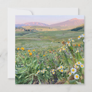 Cartão De Festividades Flat Holiday Card