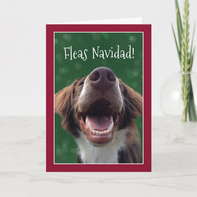 Cartão De Festividades Fleas Navidad! Humorous Dog at Christmas (Frente)