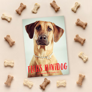 Cartão De Festividades Fleas Navidog Cute Engraçado Cão Foto de Féri