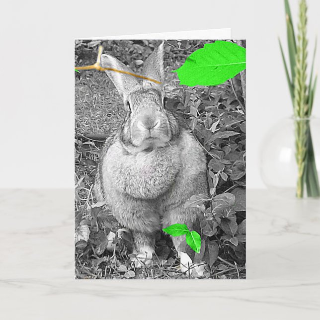 Cartão De Festividades Flemish Giant Rabbit B & W with Green Leaves (Frente)