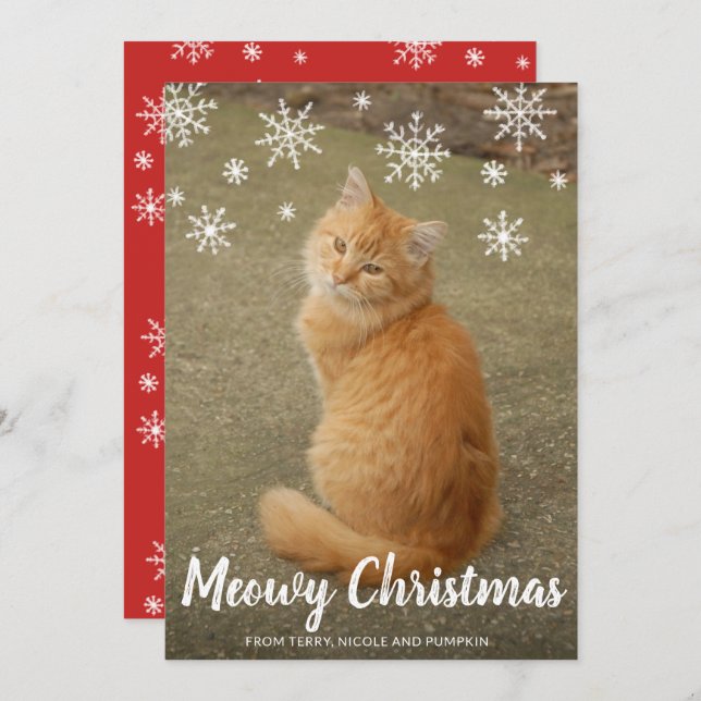 Cartão De Festividades Flocos de neve bonitos Foto Gato Feliz Natal (Frente/Verso)