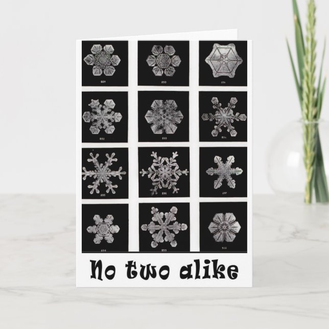 Cartão De Festividades Flocos de neve de Wilson Bentley, 1902 (Frente)