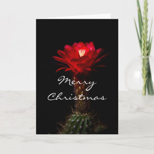 Cartão De Festividades Flor de cacto de tocha vermelha, Feliz Natal