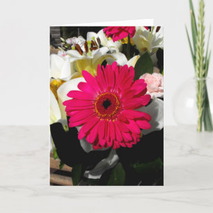 Cartão De Festividades Flor de Gerbera