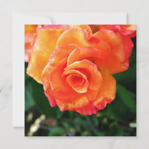 Cartão De Festividades Flor de rosa laranja