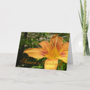Cartão De Festividades Flor Laranja Lys