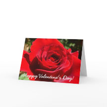 Flor Rosa vermelha Brilhante Floral