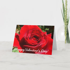 Cartão De Festividades Flor Rosa vermelha Brilhante Floral