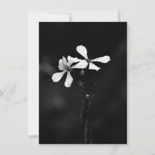 Cartão De Festividades floral preto e branco mínimo