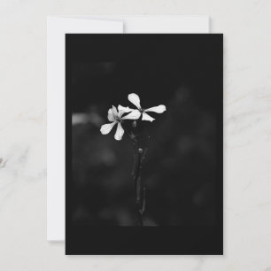 Cartão De Festividades floral preto e branco mínimo