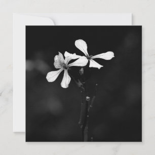 Cartão De Festividades floral preto e branco mínimo