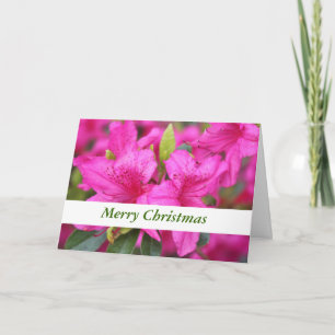 Cartão De Festividades flores de azálea rosa Natal, presente de férias