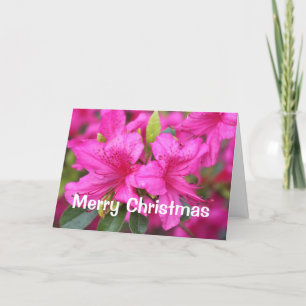 Cartão De Festividades flores de azálea rosa Natal, presente de férias