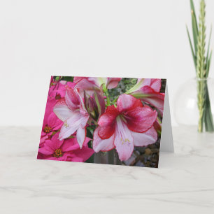 Cartão De Festividades Flores de Férias Vermelhas Amaryllis e Poinsettia