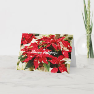 Cartão De Festividades Flores Festivas de Poinsettia Vermelhas e Brancas