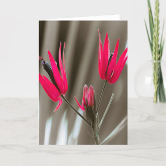 Cartão De Festividades Flores Rosa